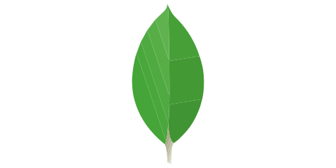 MongoDB